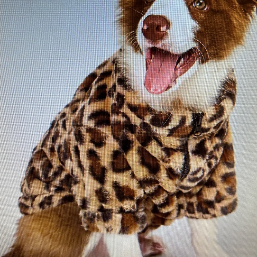 Leopard Print Dog Coat